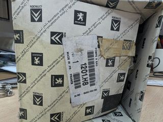 Bomba d'aigua Peugeot Citroën Bmw