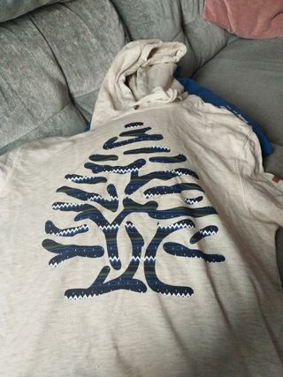 Sudadera con capucha 