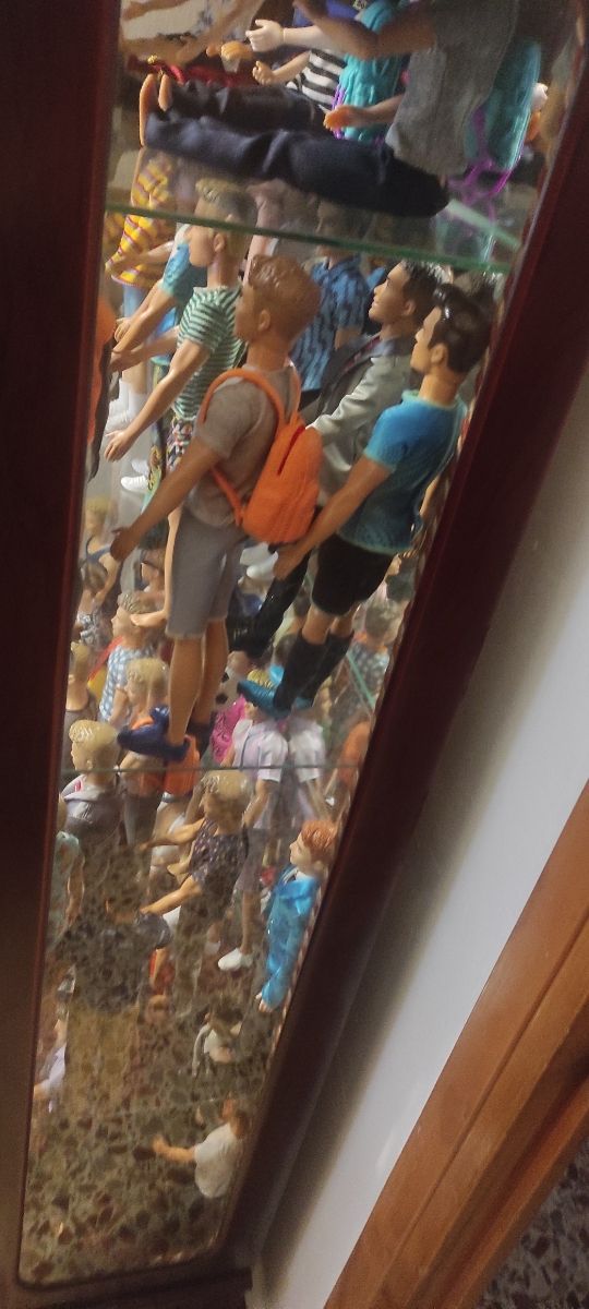 Ken Fashionista de Barbie Collector hoy375