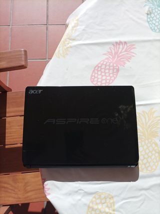 Acer aspire one
