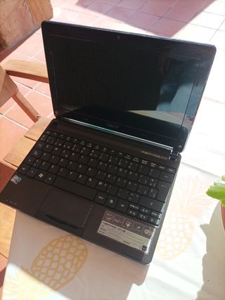 Acer aspire one