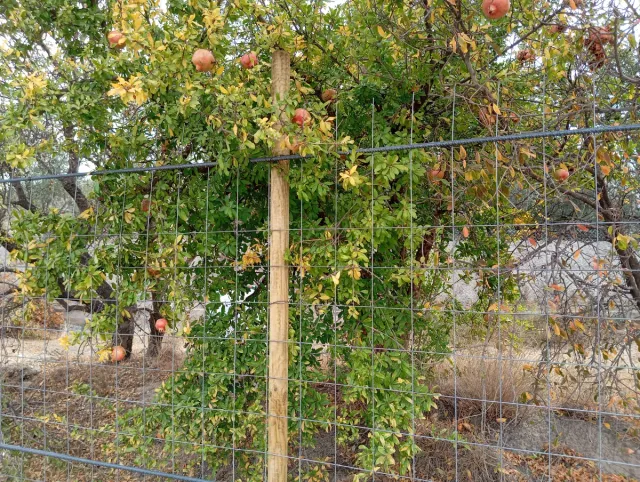 Terreno en venta