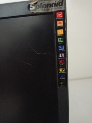 Monitor Asus adatto per fare grafica
