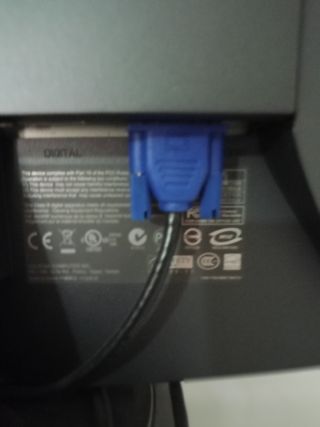 Monitor Asus adatto per fare grafica