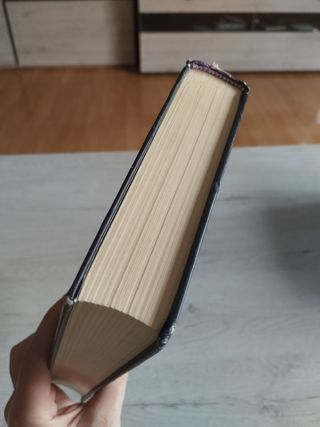 El violín negro. Sandra Andrés Belenguer