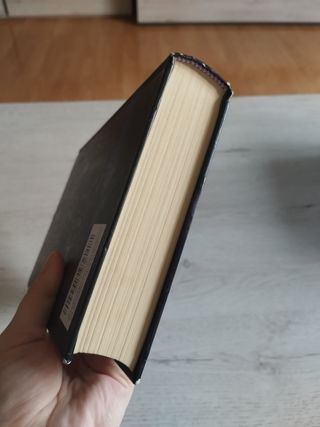 El violín negro. Sandra Andrés Belenguer