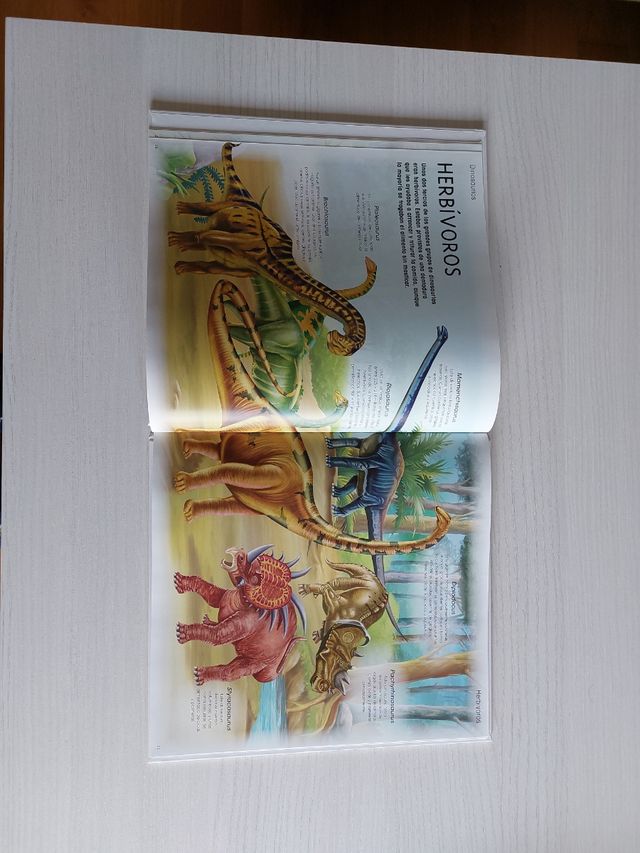 Libro dinosaurios