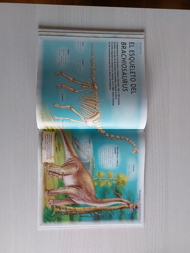 Libro dinosaurios