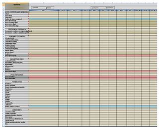 Entrenamiento personal🏋️