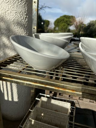 Bol blanco de diseño