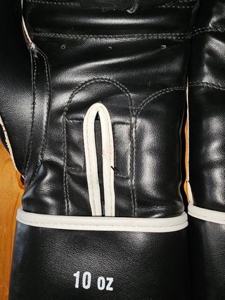 Guantoni boxe leone 10oz