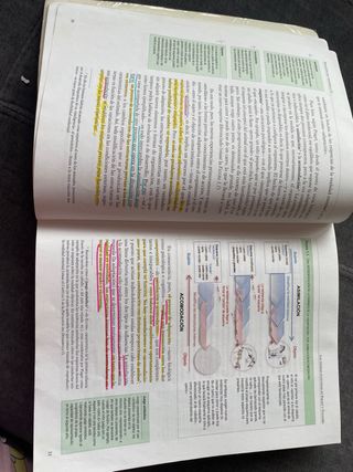 Psicologia del desarrollo II UNED