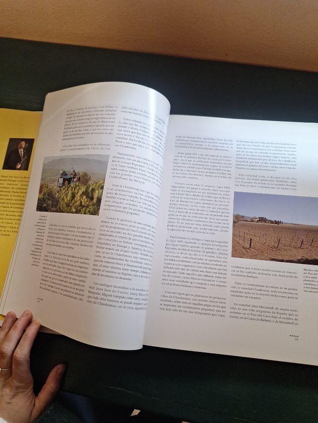 Enciclopedia del Cava