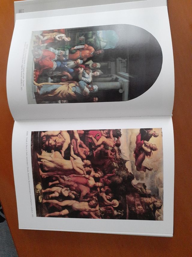 Libro d'arte "Il Garofalo"