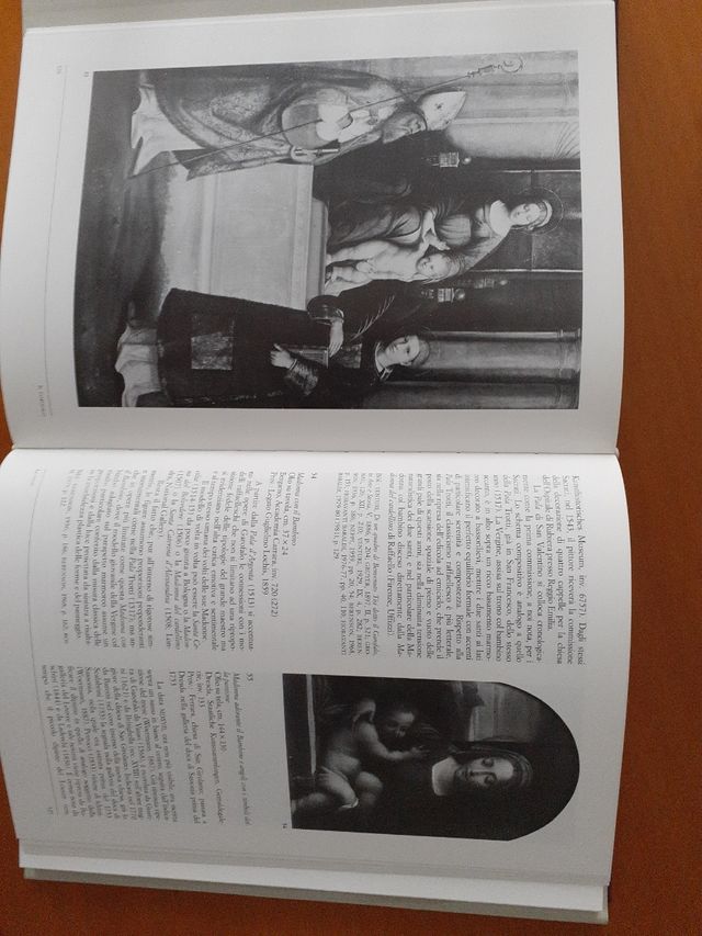 Libro d'arte "Il Garofalo"