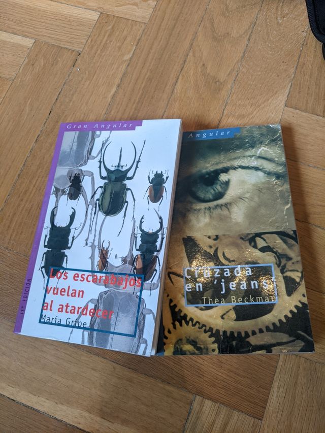 Pacchetto 2 romanzi per ragazzi