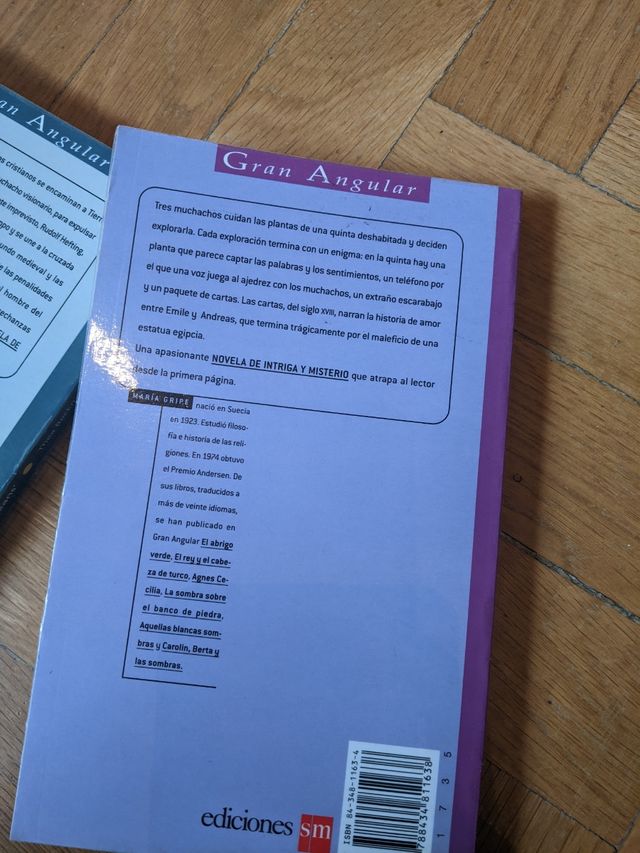 Pacchetto 2 romanzi per ragazzi