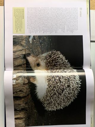 Coleccion Enciclopedias National Geographic