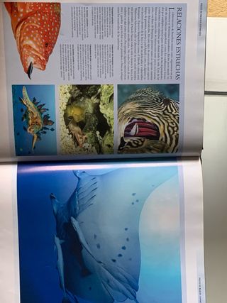 Coleccion Enciclopedias National Geographic