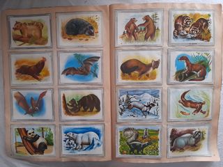 Álbum Naturaleza y color con 270 cromos