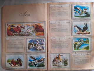 Álbum Naturaleza y color con 270 cromos