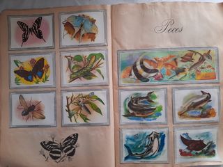 Álbum Naturaleza y color con 270 cromos