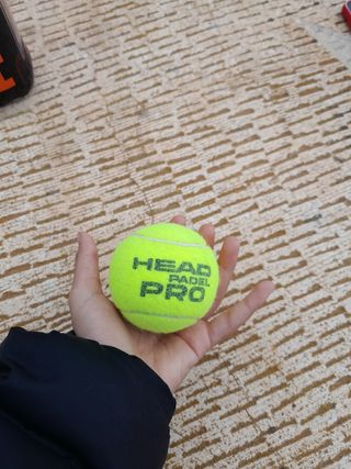 Pelotas de padel head padel pro