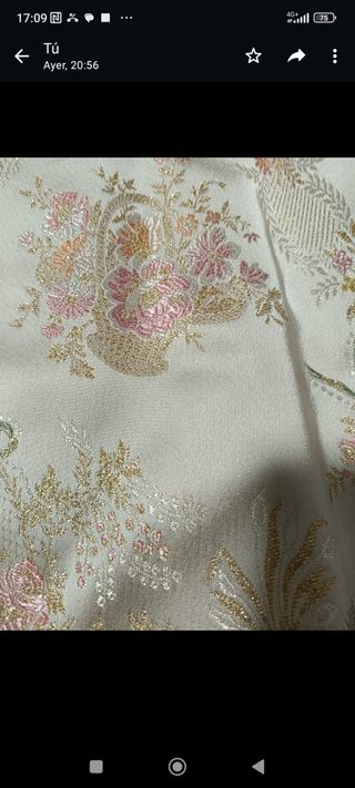 Traje de fallera negociable