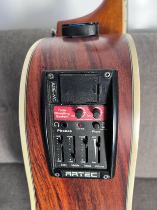 guitarra electro acústica Walden Natura D610T