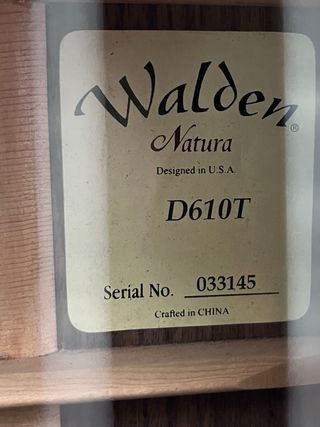 guitarra electro acústica Walden Natura D610T