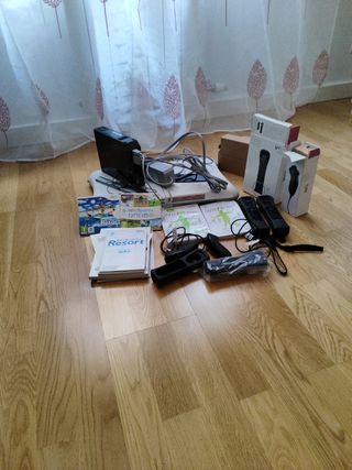 WII RESORT 