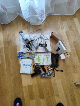 WII RESORT 