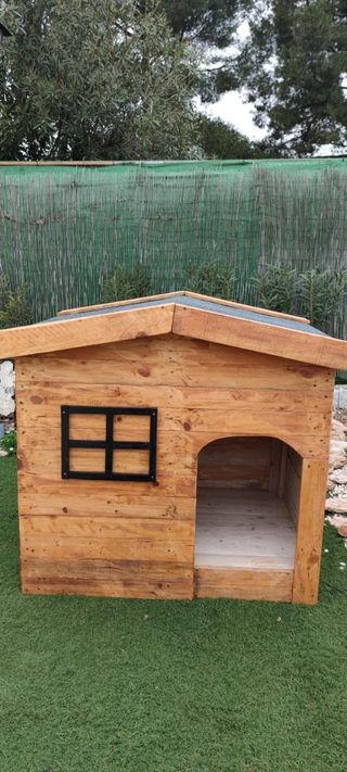 Caseta perro