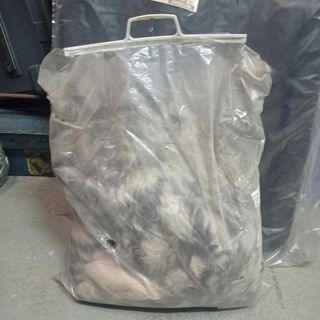 Estores y alfombrillas Renault