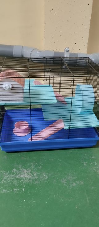 Jaula para hamster
