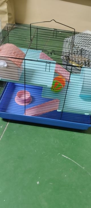 Jaula para hamster
