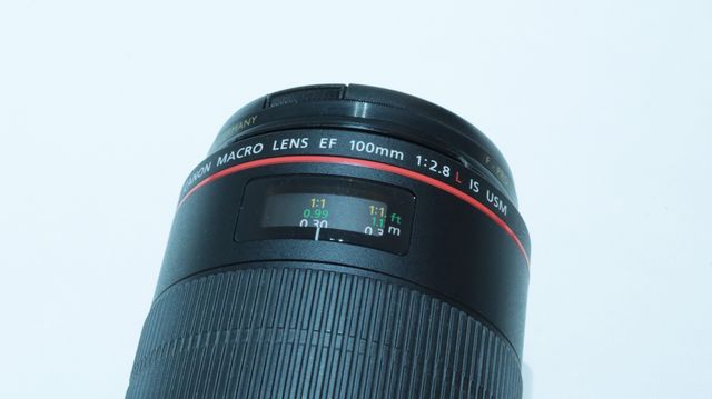 Canon EF 100 L f2.8 Macro