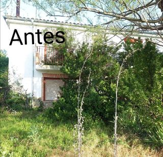 Limpieza de parcelas jardínes 