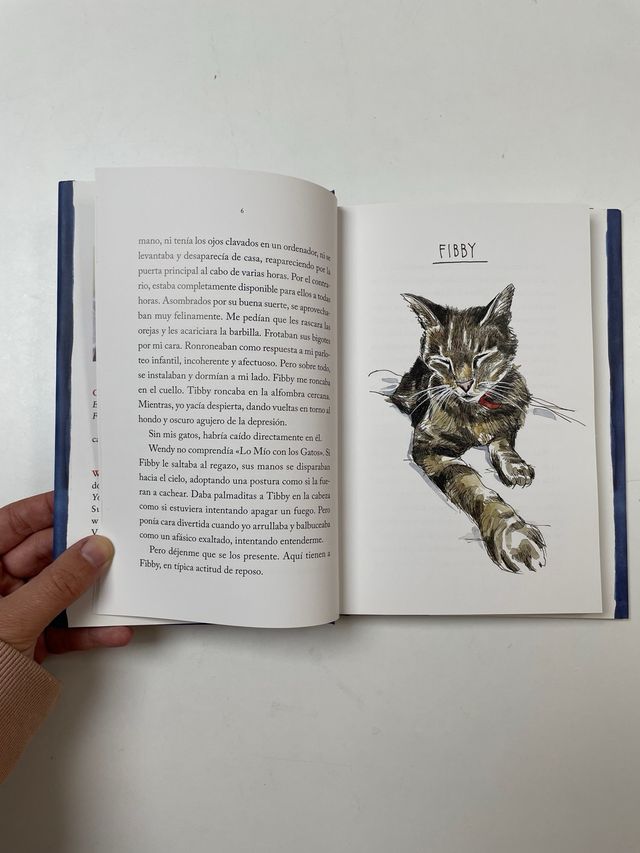 Libro ¿Qué hace mi gato cuando no estoy?