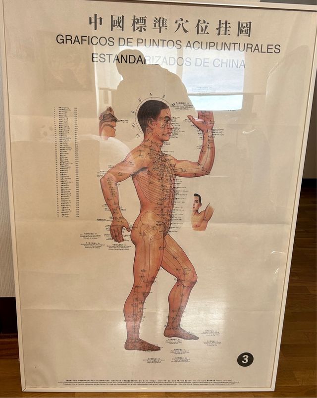 3 laminas puntos acupuntura