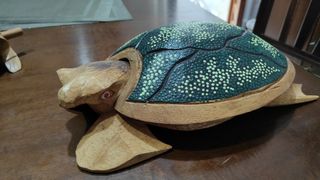 Tartaruga posacenere