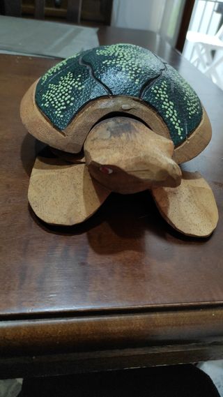 Tartaruga posacenere