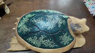 Tartaruga posacenere