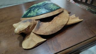 Tartaruga posacenere