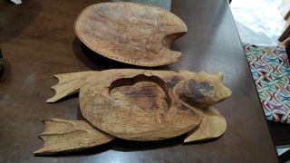 Tartaruga posacenere