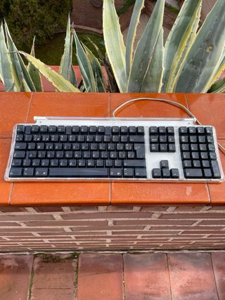 Teclado Apple