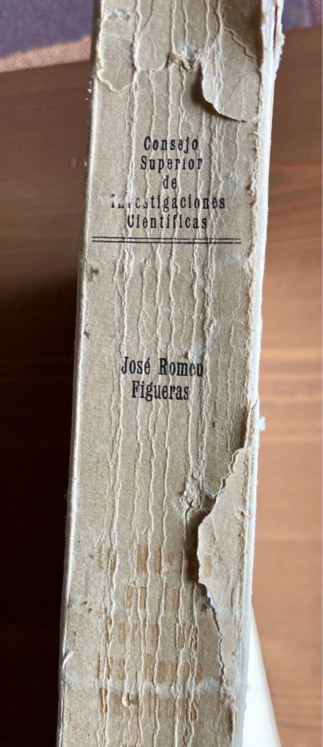 Cancionero de Palacio. Edición crítica textos