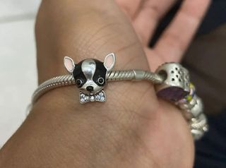 Oferta PLATA 925 Charm Perro Chihuahua para Pandor