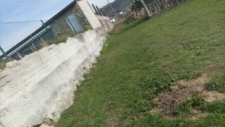 Jardines, limpieza y mantenimiento de fincas  