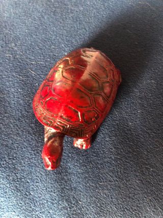 Tartaruga portafortuna